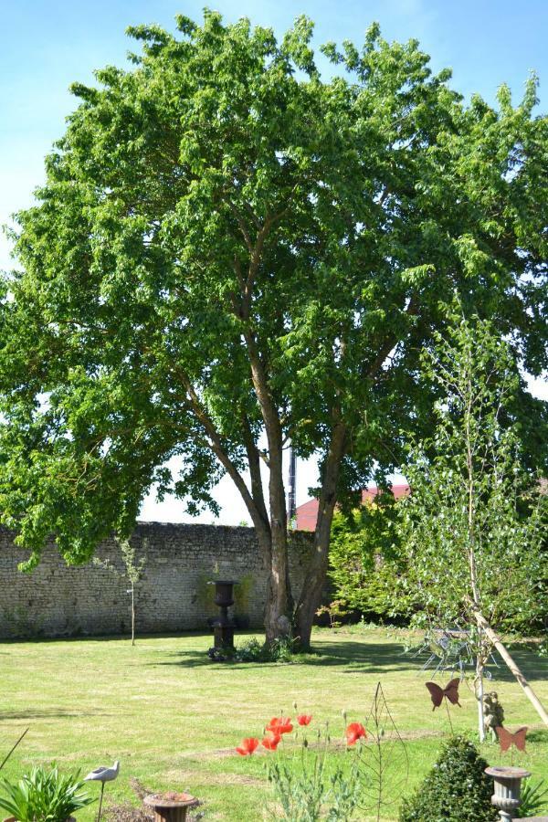 La Maison Des Buis Falaise  Exterior foto